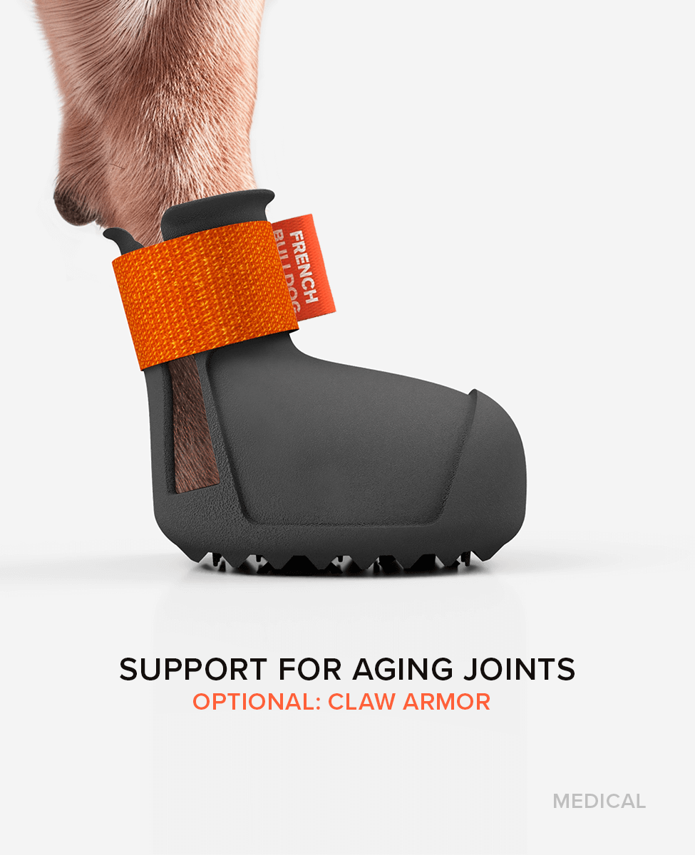 BARK & SOLE custom medical shoe