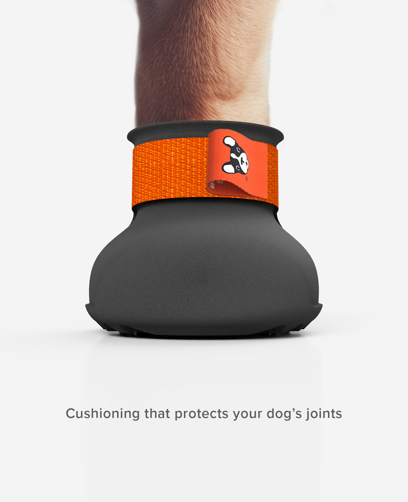 ARTHRITIS Dog Shoe
