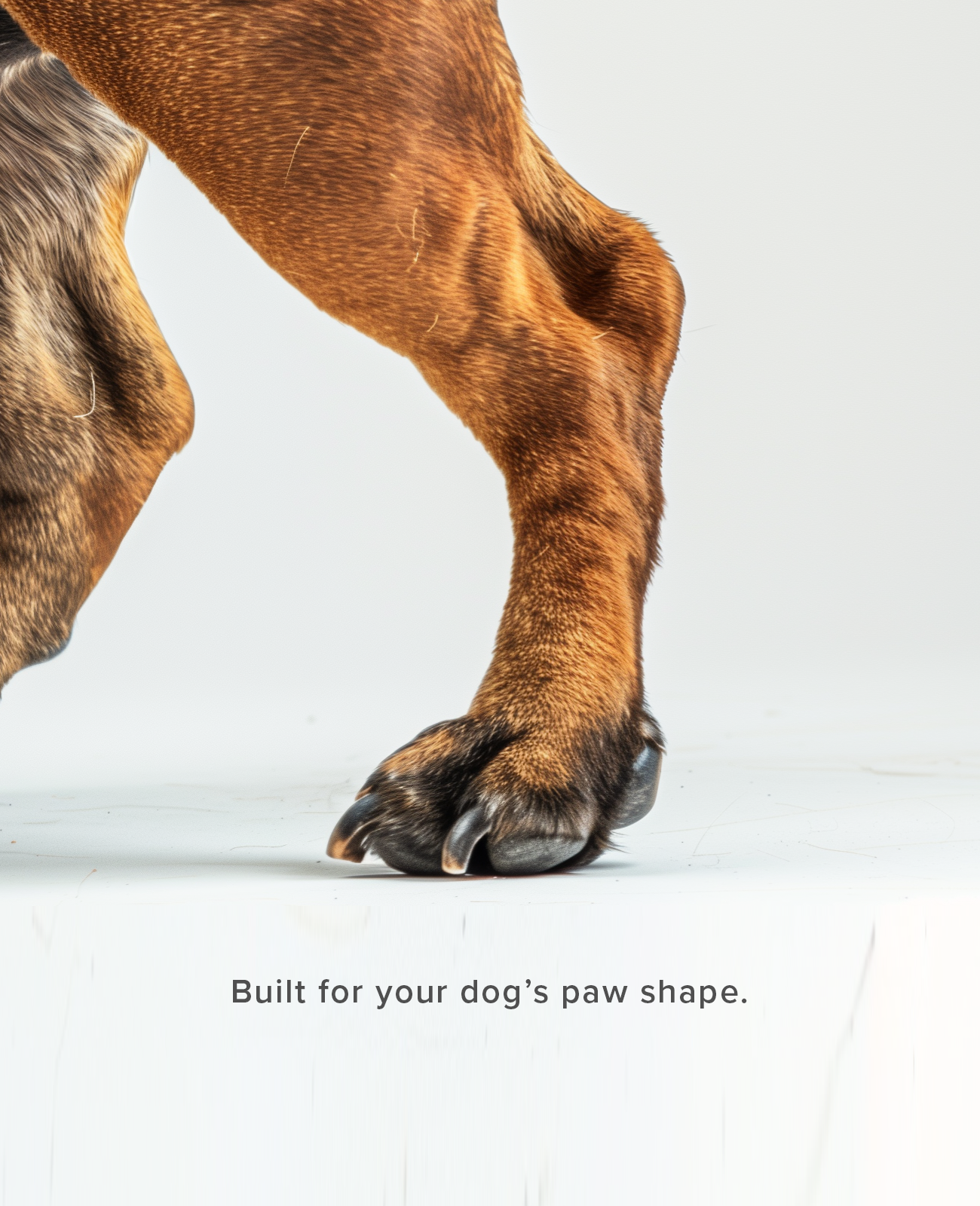 Bark and Sole custom dog shoes are built to your dogs paw shape