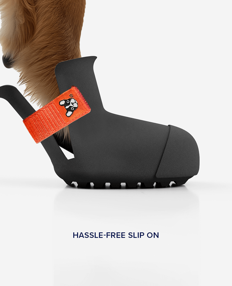 Custom BARK and SOLE dog shoes are easy to put on