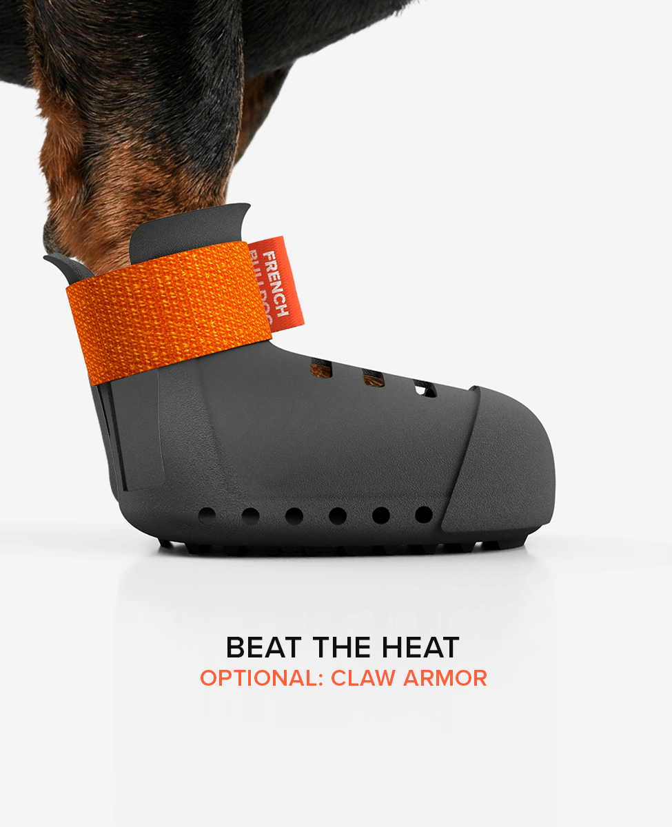 Custom Dachshund dog shoe summer side view