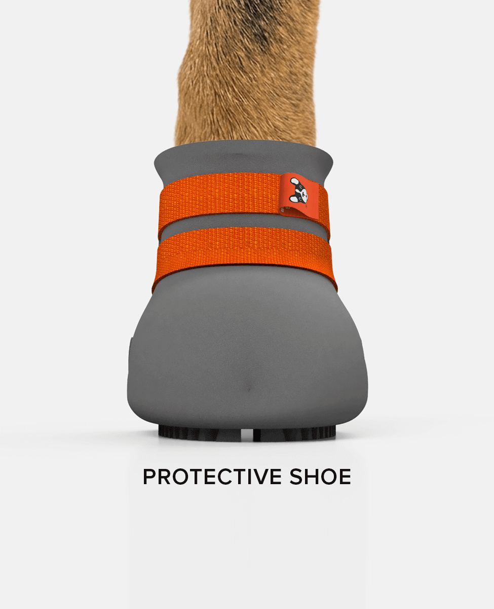 German shepherd protective dog shoe BARK & SOLE front view