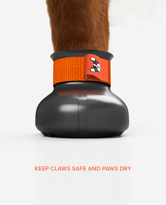 Custom medical dog shoe from front