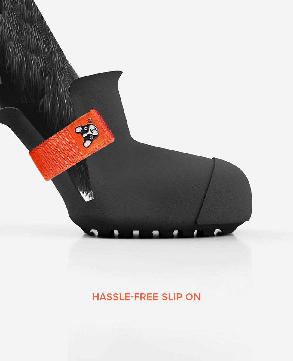 Custom BARK and SOLE dog shoes are areas to slip on