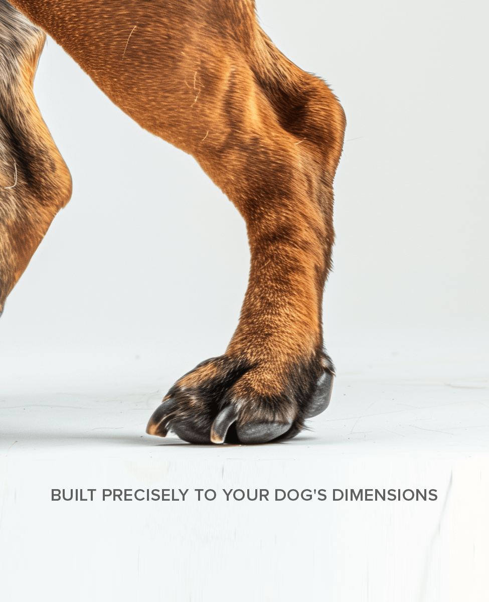 BARK and sole custom dog shoes are built with individual dimensions