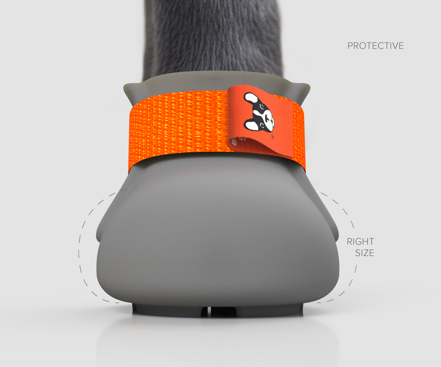 Custom-made dog shoe, French bulldog shoe front