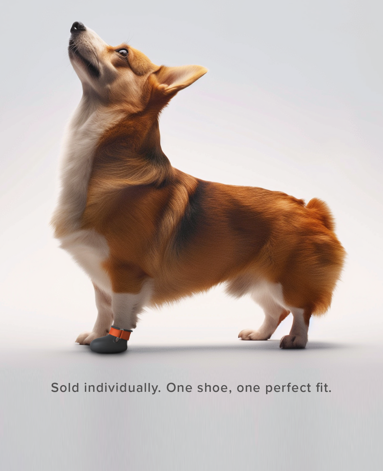ARTHRITIS Dog Shoe