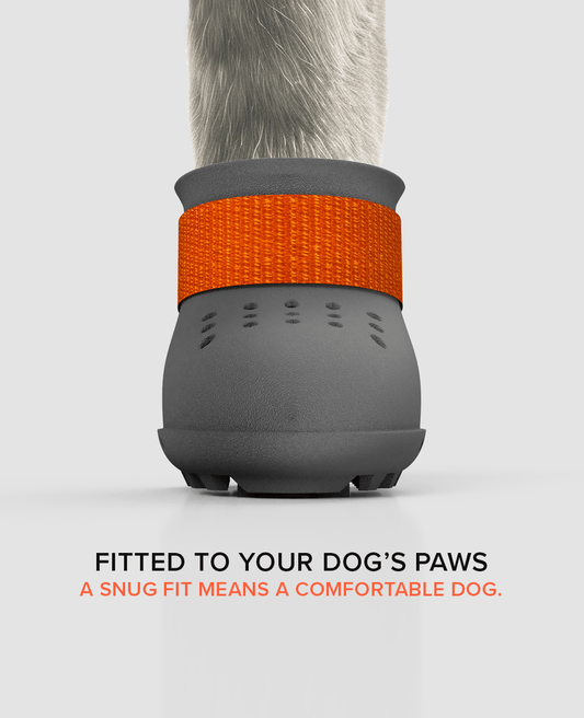 BARK & SOLE summer dog shoe front