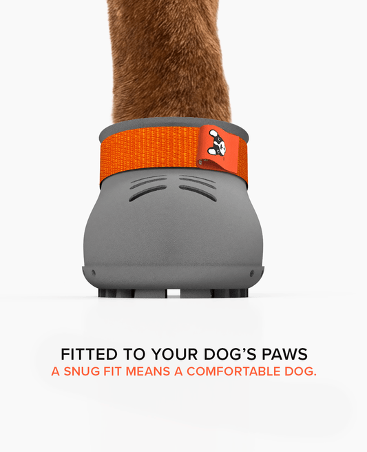 BARK & SOLE custom staffy summer dog shoe front