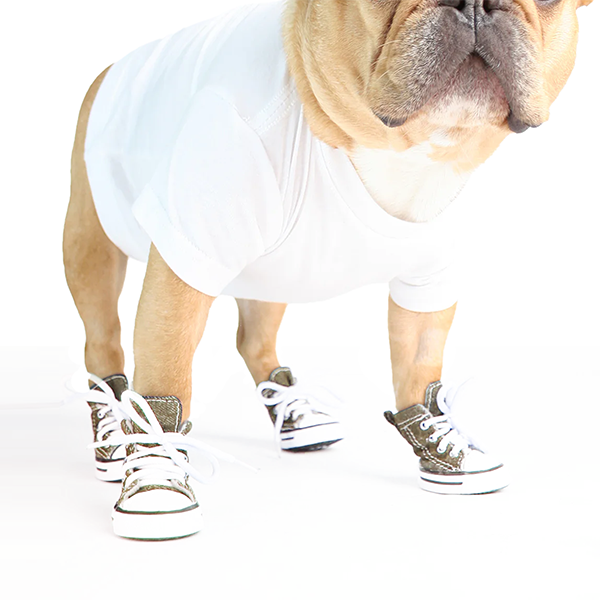 Traditional dog fail compared to custom dog shoes
