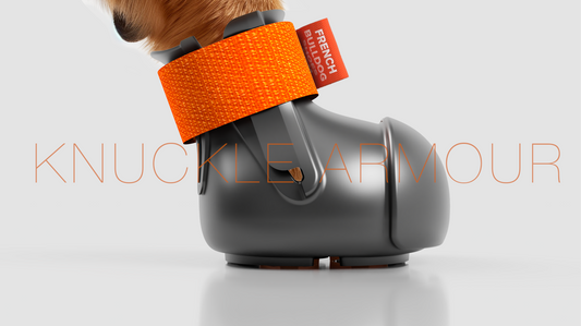 Why Our Knuckle Armour Dog Shoes are the Best for Dogs with Knuckling Issues