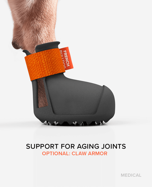 BARK & SOLE custom medical shoe