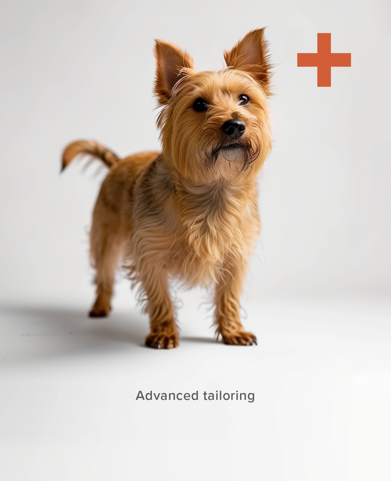 West Highland Terrier advanced custom dog shoe tailoring