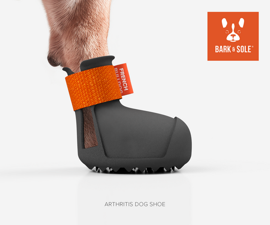Dog paw with arthritis shoe and orange strap, featuring 'Bark & Sole' brand.