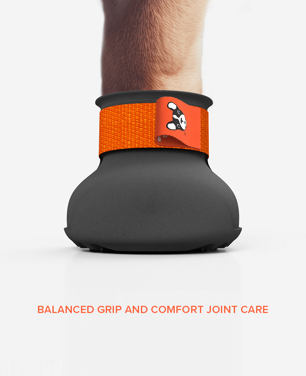 Custom medical dog shoe front