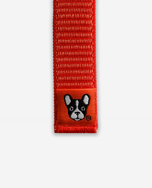 BARK & SOLE Custom dog shoe fastening strap
