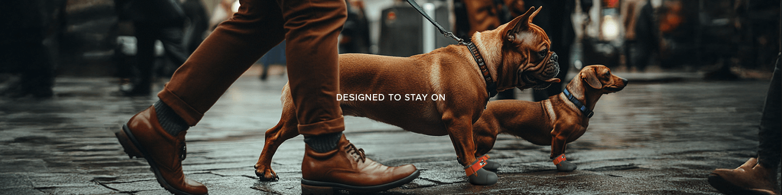 BARK & SOLE custom dog shoes stay on. Best for french bulldogs and dachshunds