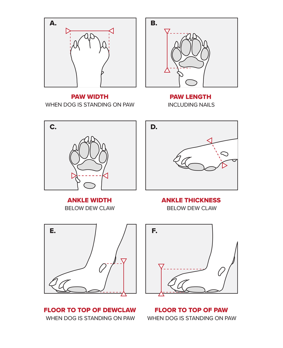 BARK AND SOLE custom dog shoe key measurements