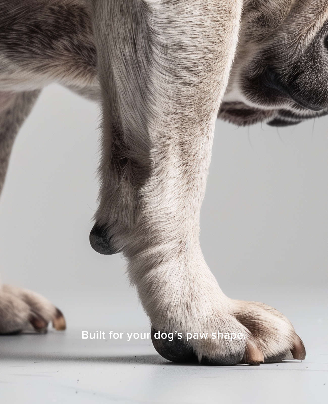 Custom dog shoes are built to your dog's paw shape