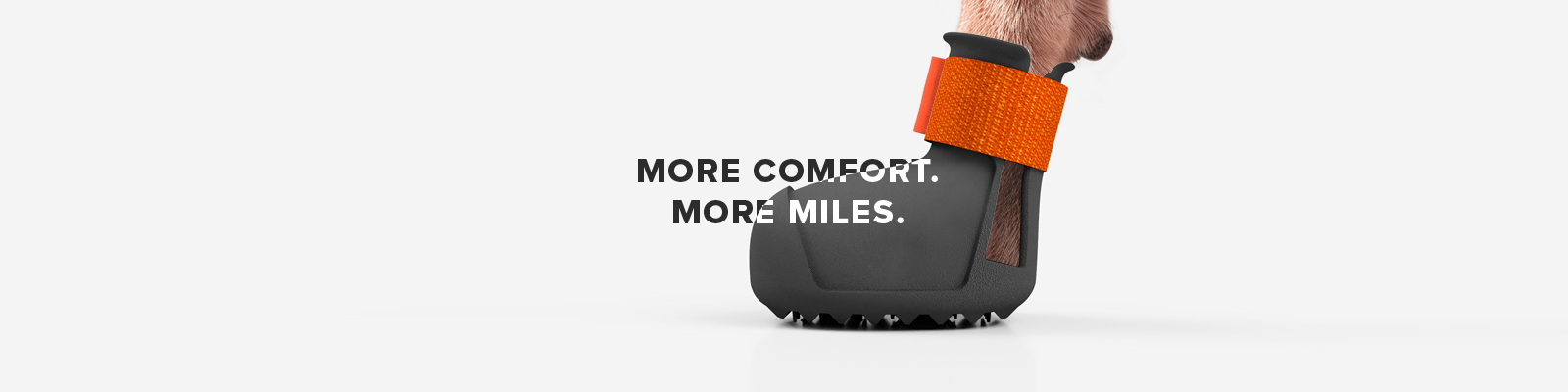 Comfortable dog shoes equals to more miles