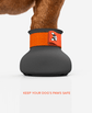 Custom Dachshund dog shoe front view