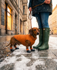 Dachshund winter shoes are precision made