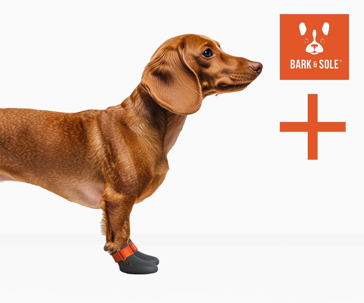 Extra Tailored Dog Shoe