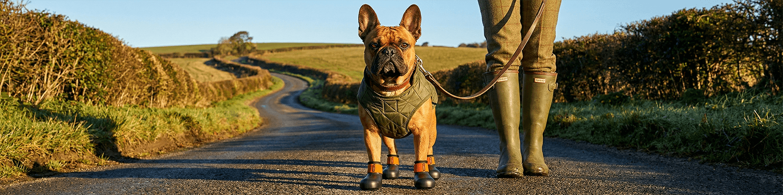 French bulldog wearing Bark & Sole custom dog shoes on a country road