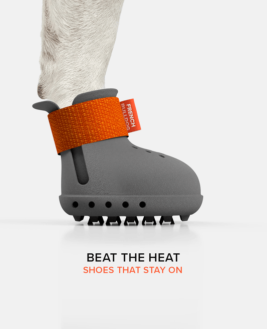 French bulldog custom dog shoes summer edition side view