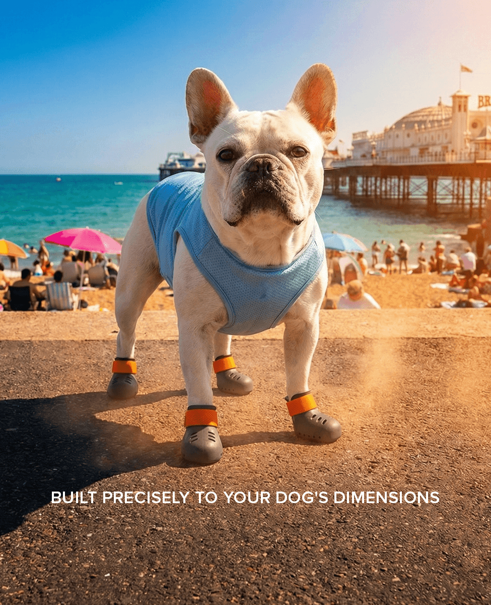 French bulldog wearing on BARK and SOLE custom summer dog shoes