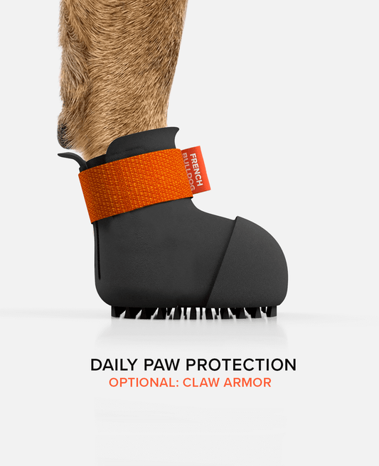 Custom BARK & SOLE french bulldog shoe side view