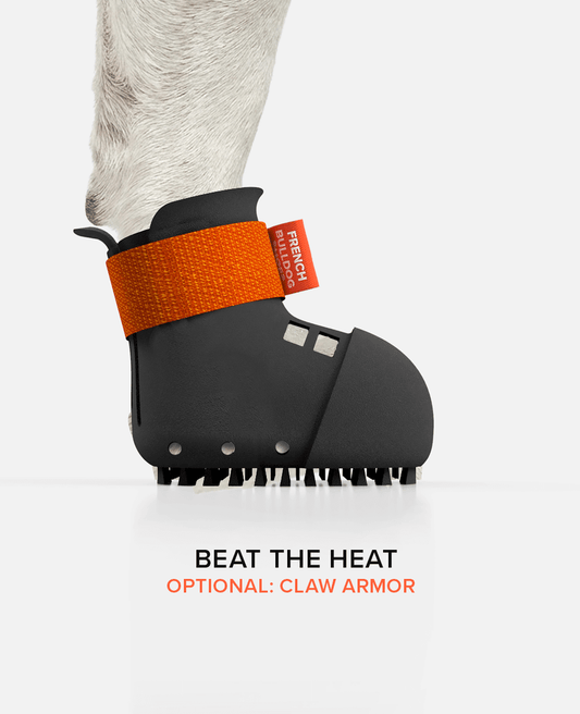 BARK & SOLE custom french bulldog summer shoe side