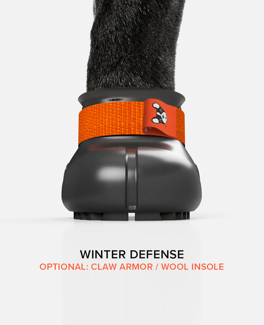 BARK & SOLE Custom French bulldog shoe winter defence