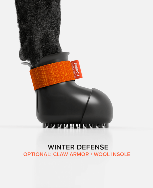 Custom BARK & SOLE winter french bulldog shoe side view