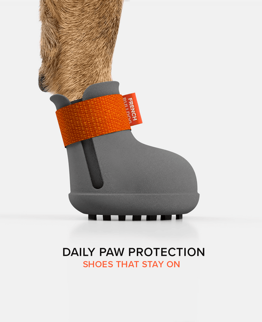 French bulldog custom dog shoes side view