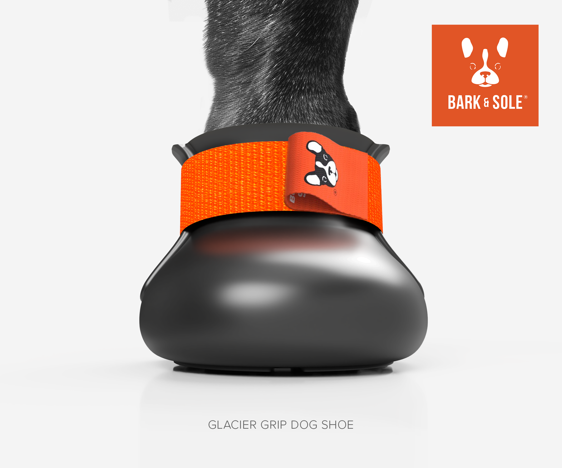 Glacier winter dog shoe with orange band and 'Bark & Sole' logo on a white background