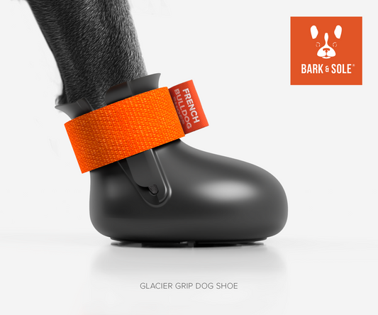 Glacier winter dog shoe with spikes and orange strap and 'Bark & Sole' logo on a white background