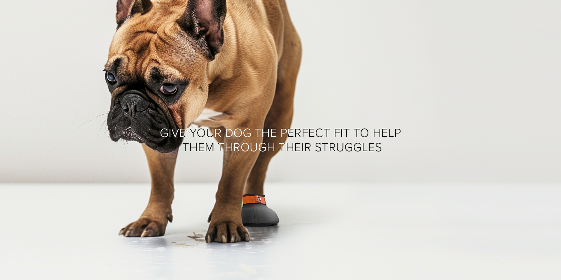French Bulldog wearing a grey custom made boot on a white background with text about helping dogs through struggles.