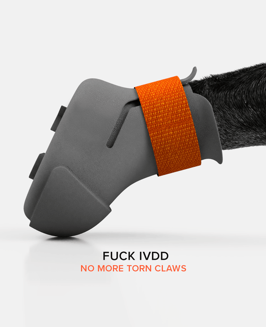 Custom dog shoes for IVDD stage 5 side view