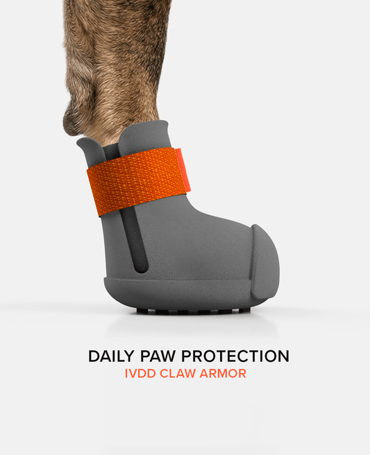 IVDD warrior dog shoe side view BARK & SOLE