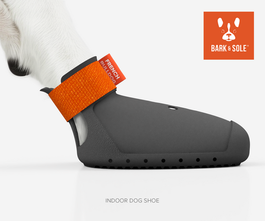 Indoor dog shoe side view