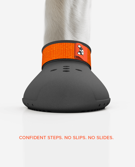 Custom indoor dog shoes front