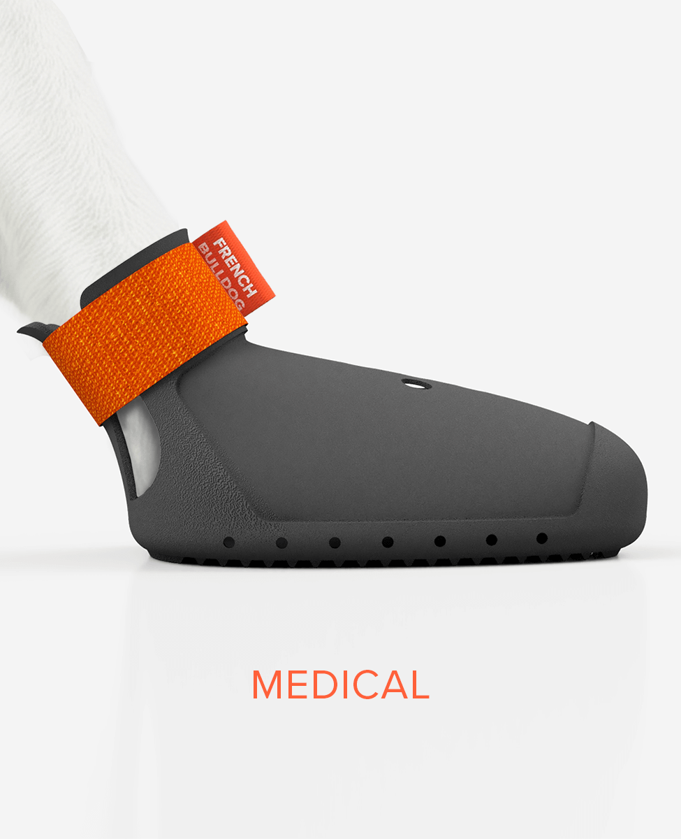 Custom indoor dog shoe side