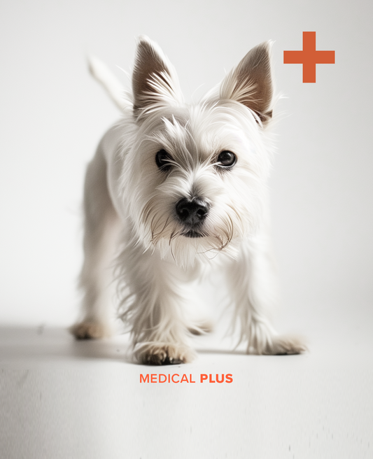 BARK & SOLE custom dog shoe MEDICAL plus