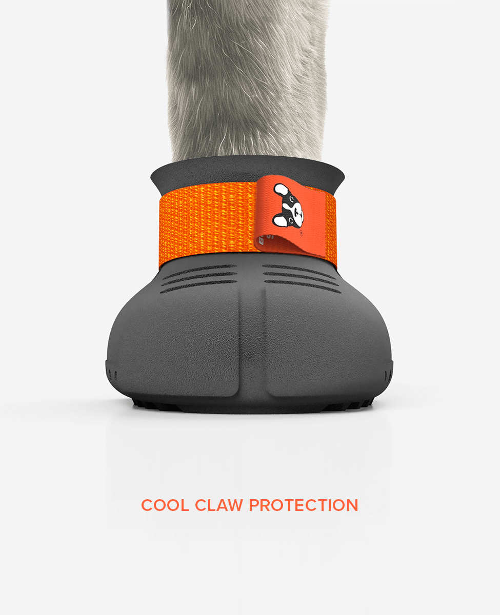 Paw armor custom dog shoe front view