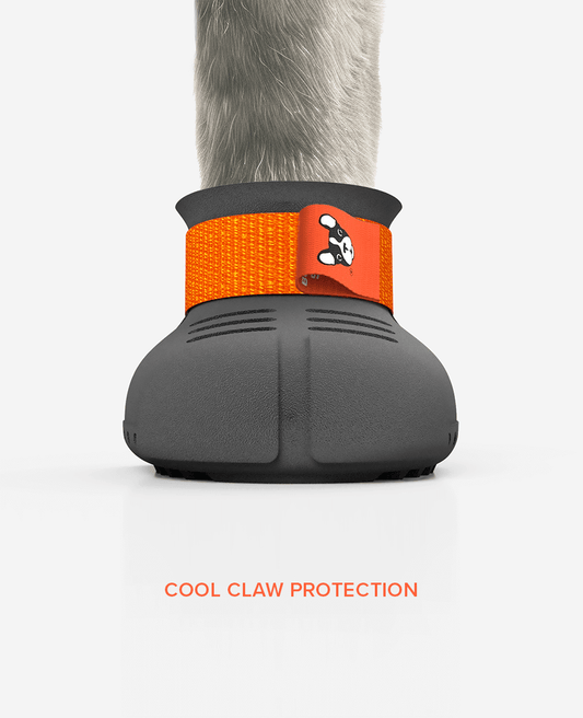 Paw armor custom dog shoe front view