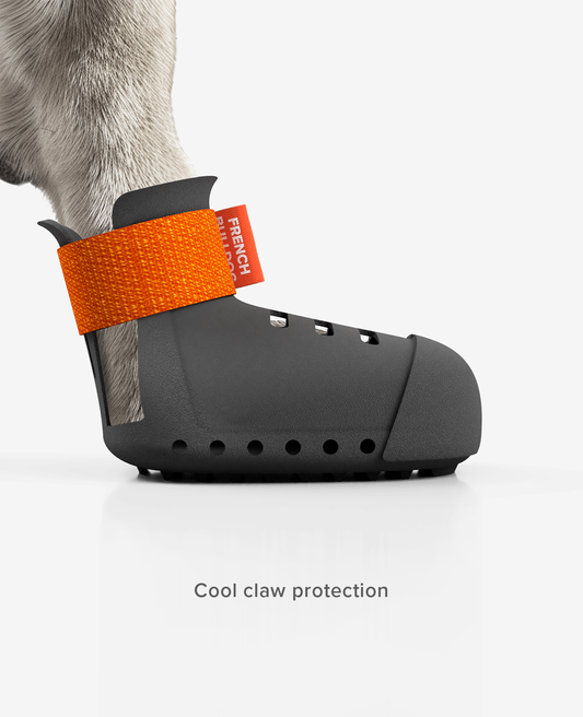 PAW ARMOR SUMMER Dog Shoe