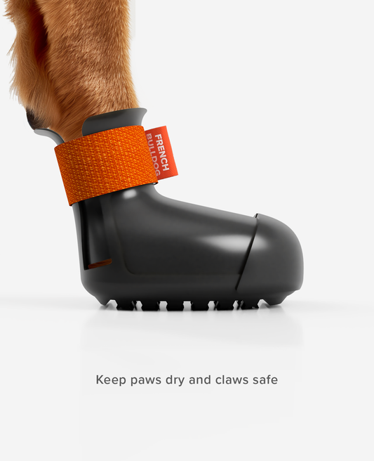 PAW ARMOR WINTER Dog Shoe