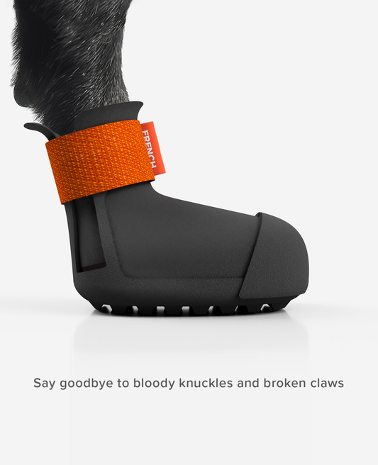 PAW ARMOR Dog Shoe