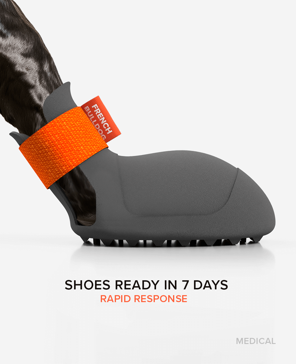 BARK & SOLE custom medical shoe